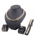 SET480 - Gold-plated fashion necklace earrings Set